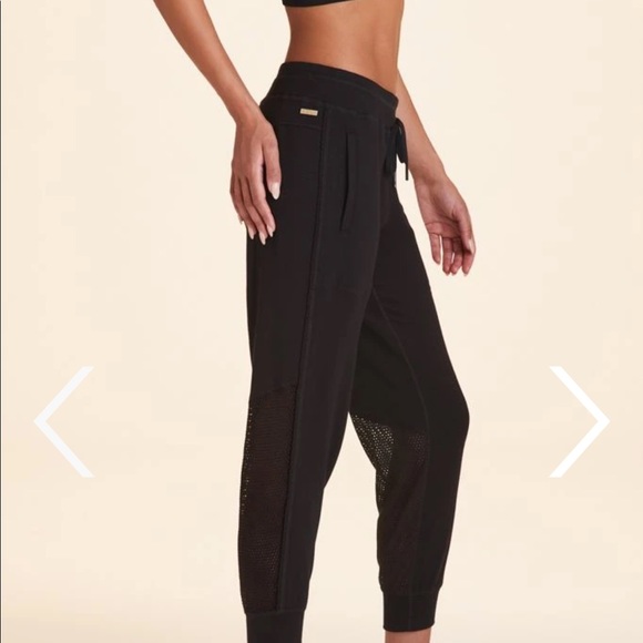 ❌SOLD❌ ALALA HERON JOGGER - BNWT! - Picture 3 of 10